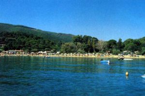 straccoligno